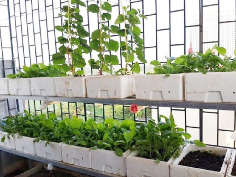 Bán thùng xốp trồng rau tphcm ở đâu bền chắc nhất?