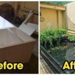 Thùng xốp nuôi cá bảy màu